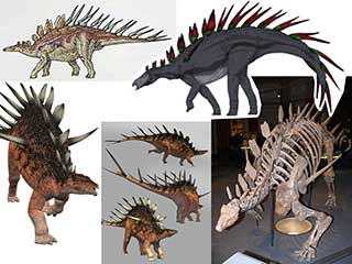 Kentrosaurus reference images